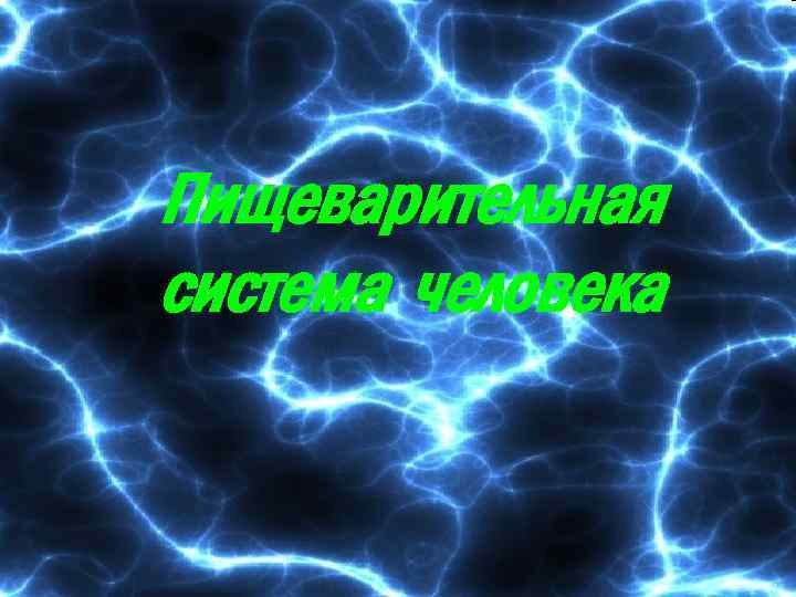 Пищеварительная система человека 