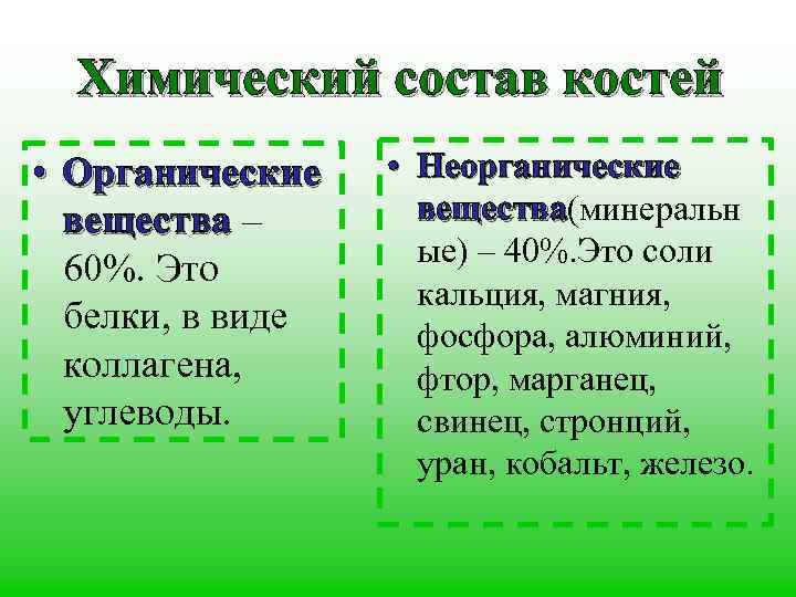 Химический состав костей • Органические вещества – 60%. Это белки, в виде коллагена, углеводы.