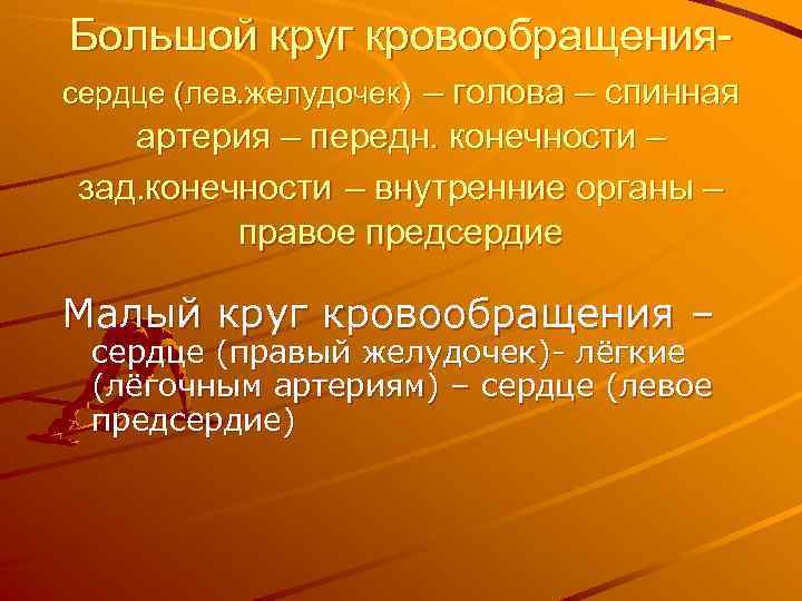 Большой круг кровообращениясердце (лев. желудочек) – голова – спинная артерия – передн. конечности –