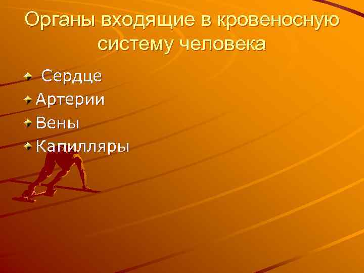 Органы входящие в кровеносную систему человека Сердце Артерии Вены Капилляры 