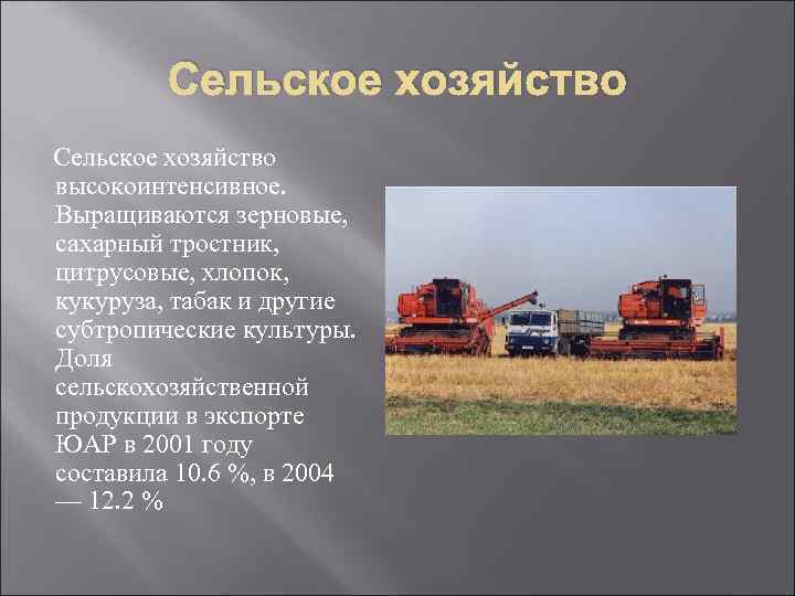 Сельское хозяйство высокоинтенсивное. Выращиваются зерновые, сахарный тростник, цитрусовые, хлопок, кукуруза, табак и другие субтропические