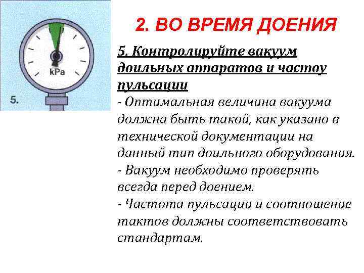 2. ВО ВРЕМЯ ДОЕНИЯ 5. Контролируйте вакуум доильных аппаратов и частоу пульсации - Оптимальная