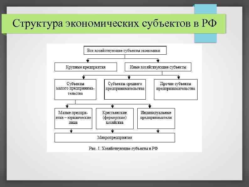 Структура экономических субъектов в РФ 