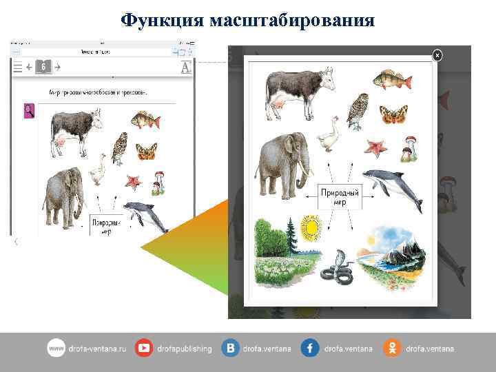 Функция масштабирования 