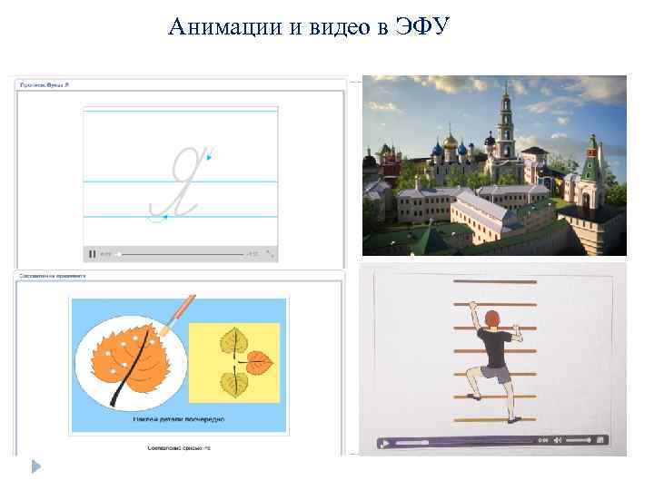 Анимации и видео в ЭФУ 