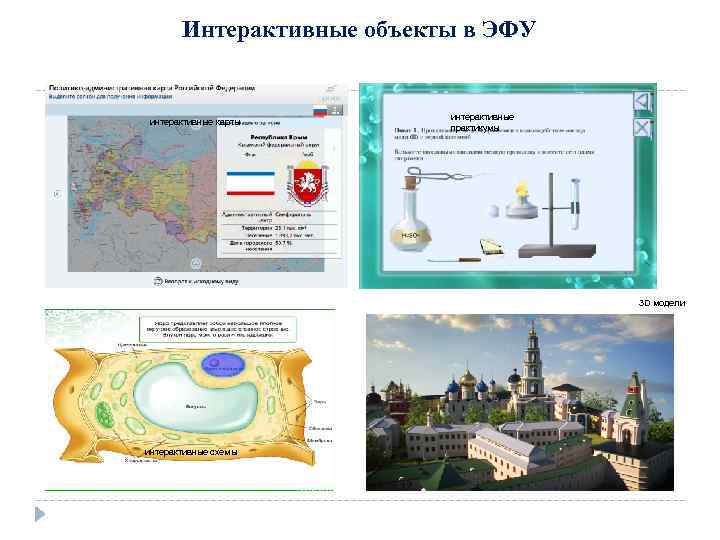 Интерактивные объекты в ЭФУ интерактивные карты интерактивные практикумы 3 D модели интерактивные схемы 