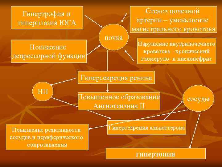 Стеноз почечной артерии – уменьшение магистрального кровотока Гипертрофия и гиперплазия ЮГА почка Понижение депрессорной