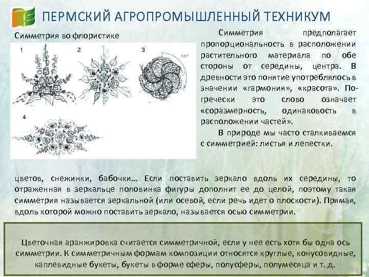 ПЕРМСКИЙ АГРОПРОМЫШЛЕННЫЙ ТЕХНИКУМ Симметрия во флористике Симметрия предполагает пропорциональность в расположении растительного материала по