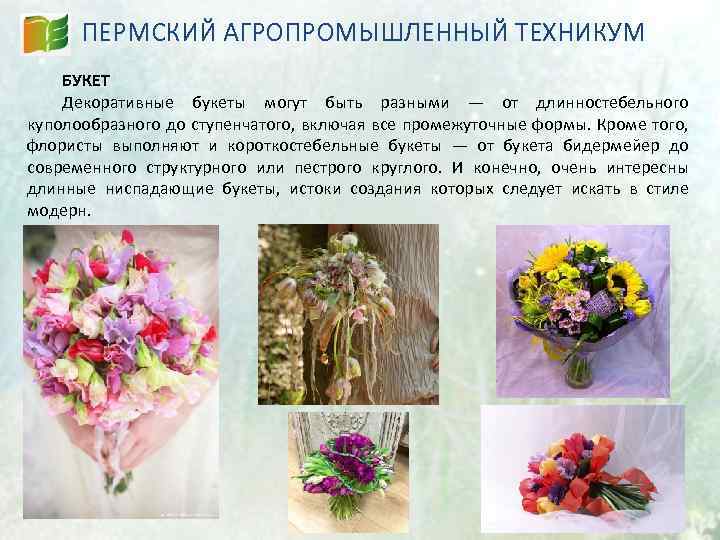 ПЕРМСКИЙ АГРОПРОМЫШЛЕННЫЙ ТЕХНИКУМ БУКЕТ Декоративные букеты могут быть разными — от длинностебельного куполообразного до