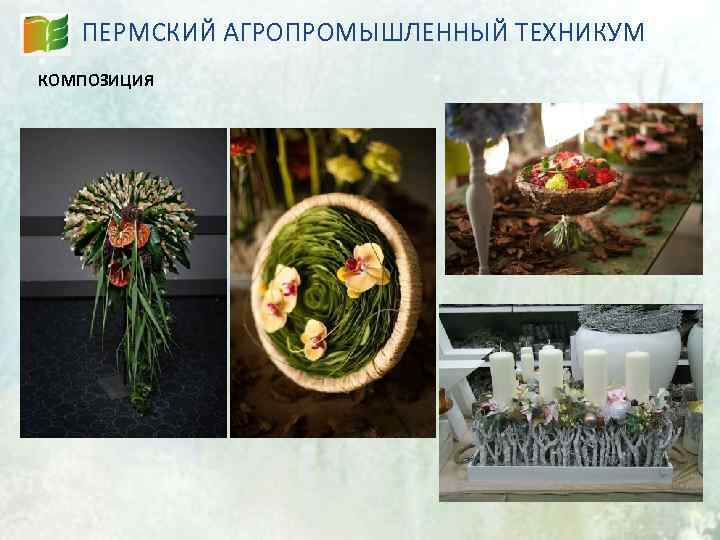 ПЕРМСКИЙ АГРОПРОМЫШЛЕННЫЙ ТЕХНИКУМ КОМПОЗИЦИЯ 
