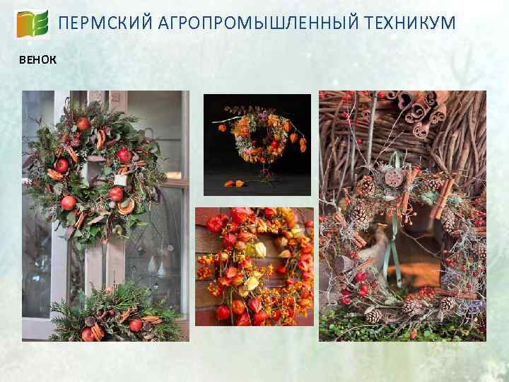 ПЕРМСКИЙ АГРОПРОМЫШЛЕННЫЙ ТЕХНИКУМ ВЕНОК 