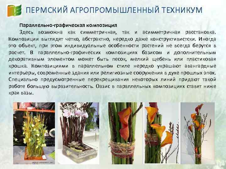 ПЕРМСКИЙ АГРОПРОМЫШЛЕННЫЙ ТЕХНИКУМ Параллельно-графическая композиция Здесь возможна как симметричная, так и асимметричная расстановка. Композиции