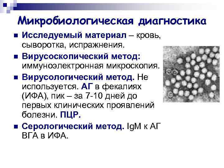 Микробиологическая диагностика n n Исследуемый материал – кровь, сыворотка, испражнения. Вирусоскопический метод: иммуноэлектронная микроскопия.