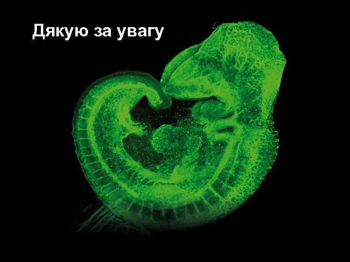 Дякую за увагу 