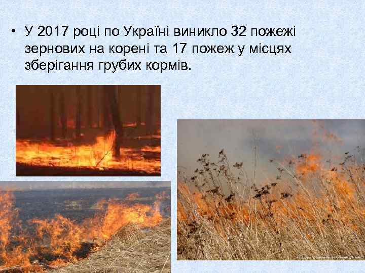 • У 2017 році по Україні виникло 32 пожежі зернових на корені та