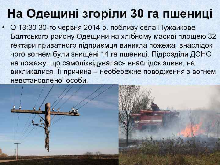 На Одещині згоріли 30 га пшениці • О 13: 30 30 -го червня 2014