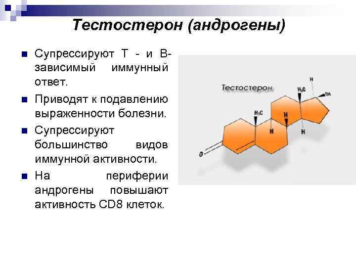 Тестостерон андроген. Андрогены тестостерон. Андрогены тестостерон стимулы. Вырабатывают гормон андроген:.