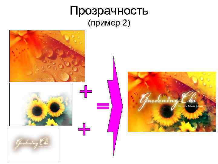 Прозрачность (пример 2) 