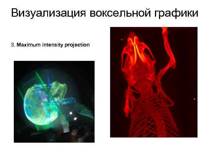 Визуализация воксельной графики 3. Maximum intensity projection 