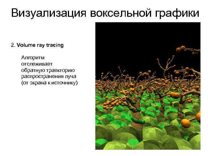 Визуализация воксельной графики 2. Volume ray tracing Алгоритм отслеживает обратную траекторию распространения луча (от