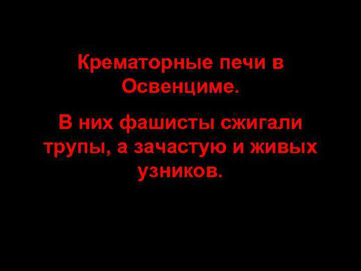 Крематорные печи в Освенциме. В них фашисты сжигали трупы, а зачастую и живых узников.