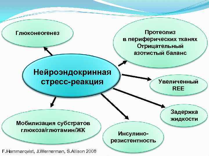 Протеолиз в периферических тканях Отрицательный азотистый баланс Глюконеогенез Нейроэндокринная стресс-реакция Мобилизация субстратов глюкоза/глютамин/ЖК F.