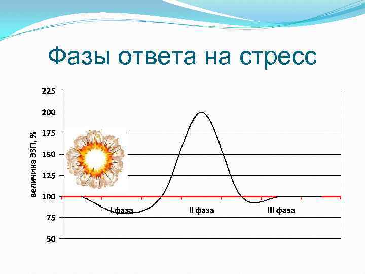 Фазы ответа на стресс 