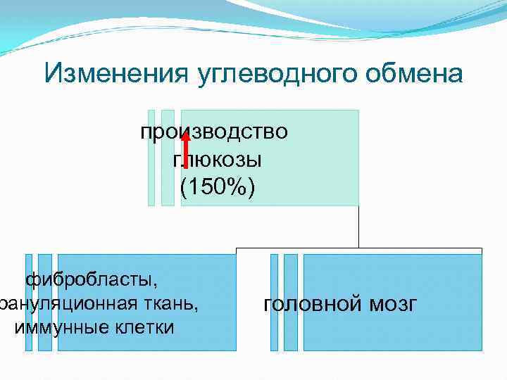 Изменения углеводного обмена производство глюкозы (150%) фибробласты, рануляционная ткань, иммунные клетки головной мозг 