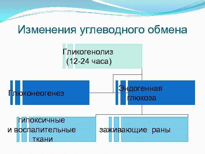Изменения углеводного обмена Гликогенолиз (12 -24 часа) Глюконеогенез гипоксичные и воспалительные ткани Эндогенная глюкоза