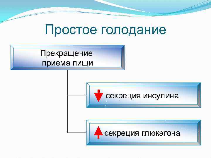 Простое голодание Прекращение приема пищи секреция инсулина секреция глюкагона 
