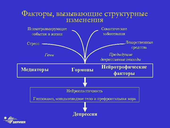 Факторы, вызывающие структурные изменения Соматические заболевания Психотравмирующие события в жизни Лекарственные средства Стресс Предыдущие