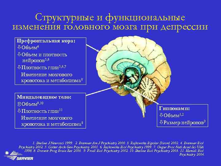 Структурные и функциональные изменения головного мозга при депрессии Префронтальная кора: òОбъем 4 òОбъем и