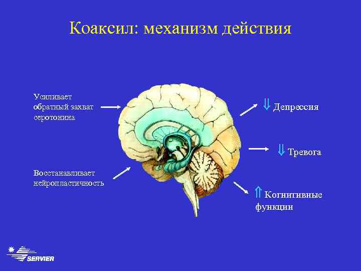 Коаксил: механизм действия Усиливает обратный захват серотонина Депрессия Тревога Восстанавливает нейропластичность Когнитивные функции 