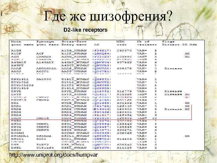 Где же шизофрения? D 2 -like receptors http: //www. uniprot. org/docs/humpvar 