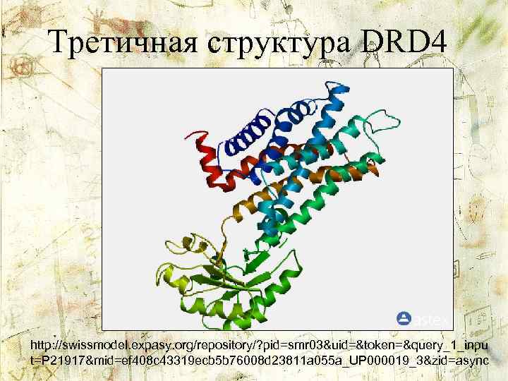 Третичная структура DRD 4 http: //swissmodel. expasy. org/repository/? pid=smr 03&uid=&token=&query_1_inpu t=P 21917&mid=ef 408 c