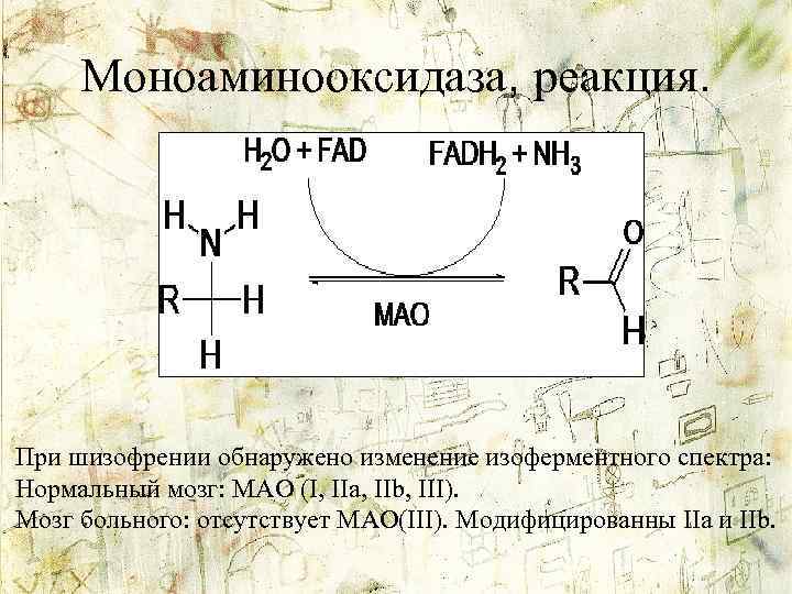 Моноаминооксидаза, реакция. При шизофрении обнаружено изменение изоферментного спектра: Нормальный мозг: MAO (I, IIa, IIb,