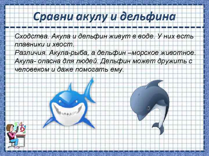 Сравни рассказы. Сходство акулы и дельфина. Акула и Дельфин отличия. Различия дельфина и акулы. Плавник акулы и дельфина отличия.