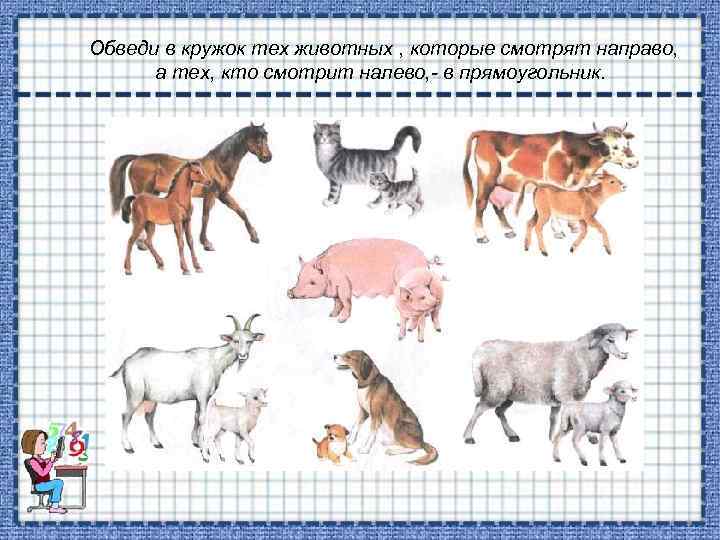Обведи в кружок тех животных , которые смотрят направо, а тех, кто смотрит налево,