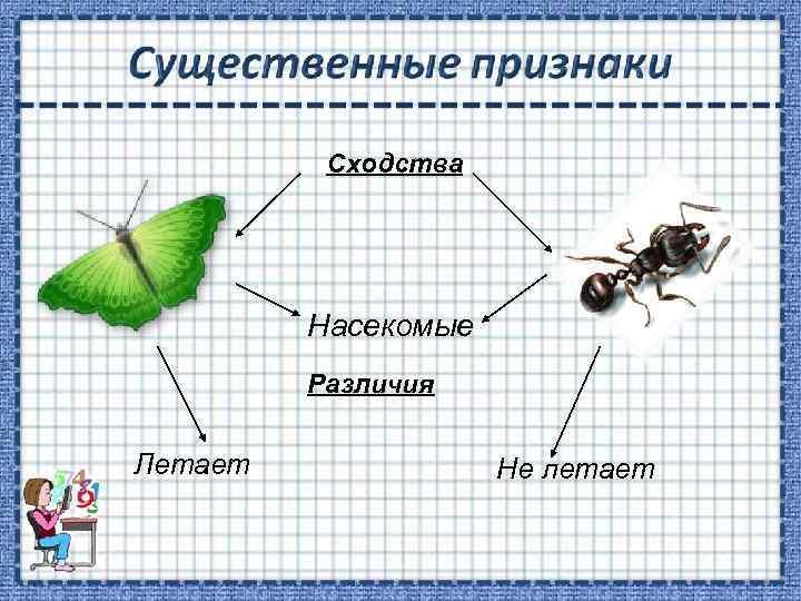 Сходства Насекомые Различия Летает Не летает 