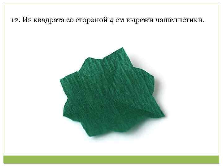 12. Из квадрата со стороной 4 см вырежи чашелистики. 