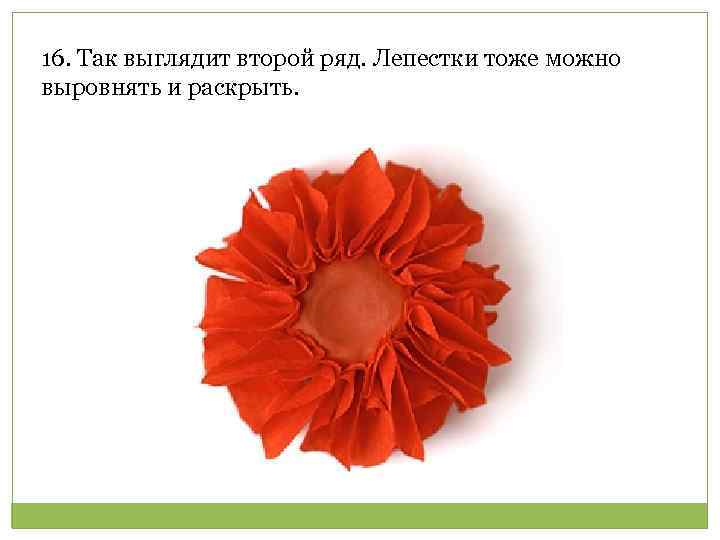 16. Так выглядит второй ряд. Лепестки тоже можно выровнять и раскрыть. 