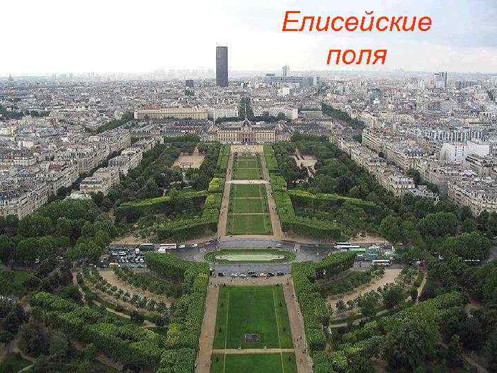 Елисейские поля 