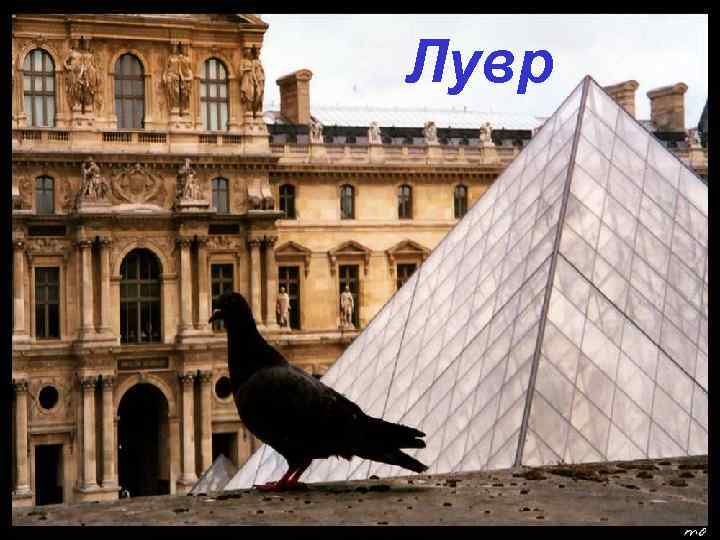 Лувр 