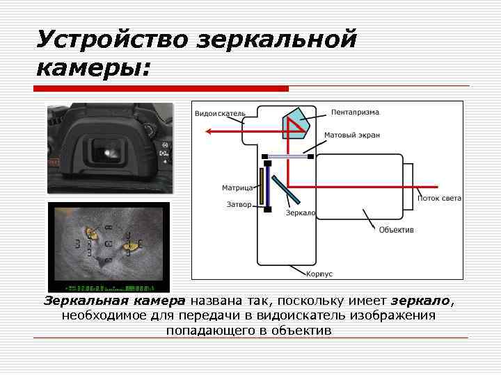 Устройство зеркальной камеры: Зеркальная камера названа так, поскольку имеет зеркало, необходимое для передачи в