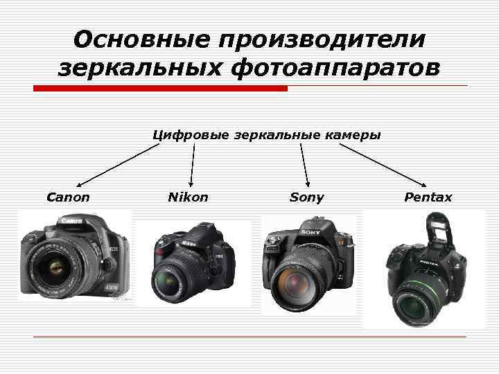 Основные производители зеркальных фотоаппаратов Цифровые зеркальные камеры Canon Nikon Sony Pentax 