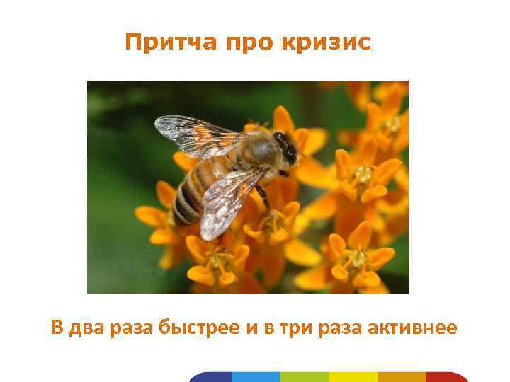 Притча про кризис В два раза быстрее и в три раза активнее 
