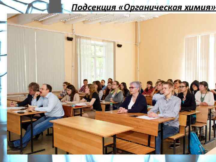 Подсекция «Органическая химия» 