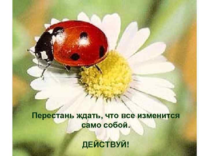 Перестань ждать, что все изменится само собой. ДЕЙСТВУЙ! 