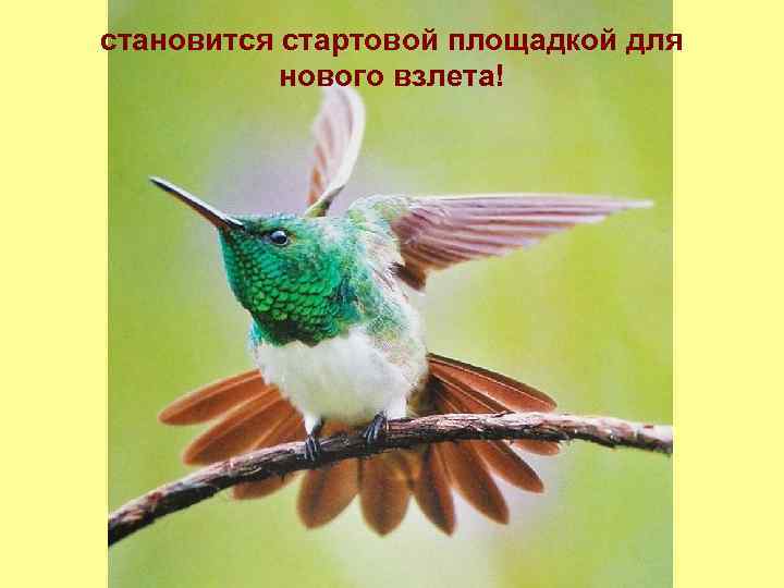 становится стартовой площадкой для нового взлета! 