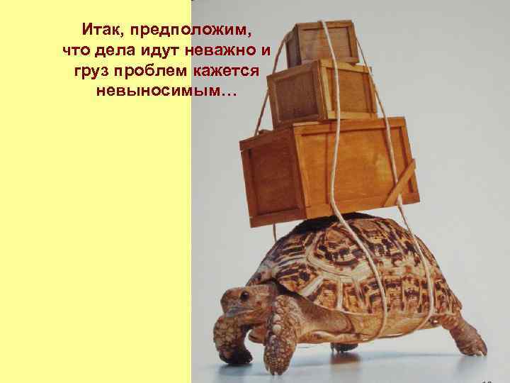 Итак, предположим, что дела идут неважно и груз проблем кажется невыносимым… 